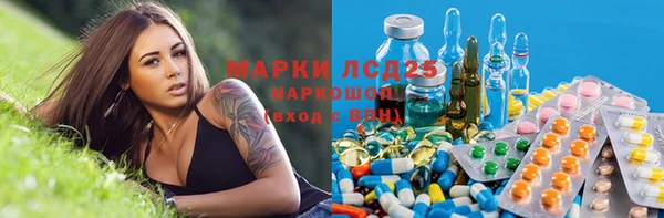 стаф Осинники