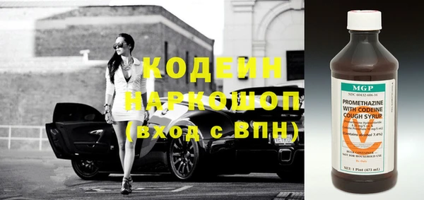 стаф Осинники