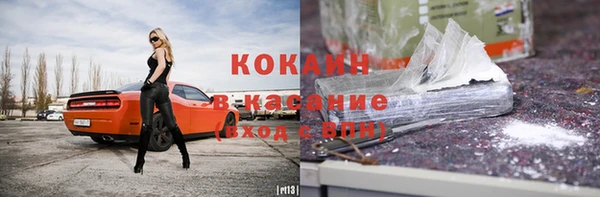 стаф Осинники
