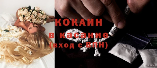 стаф Осинники
