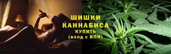 сатива Осташков