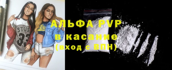 сатива Осташков