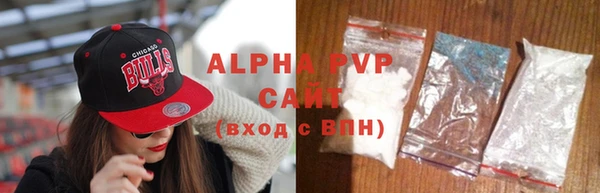 стаф Осинники