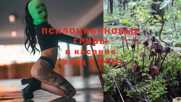 сатива Осташков