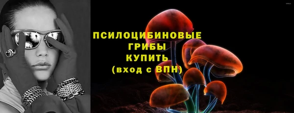 PSILOCYBIN Остров