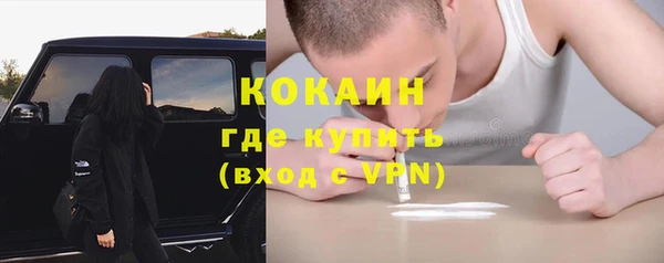 стаф Осинники