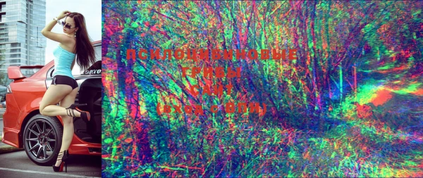 PSILOCYBIN Остров