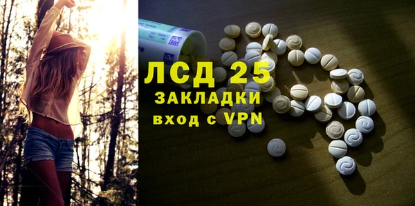 сатива Осташков