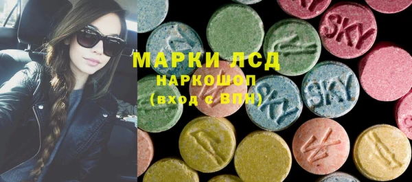 стаф Осинники