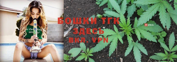 PSILOCYBIN Остров