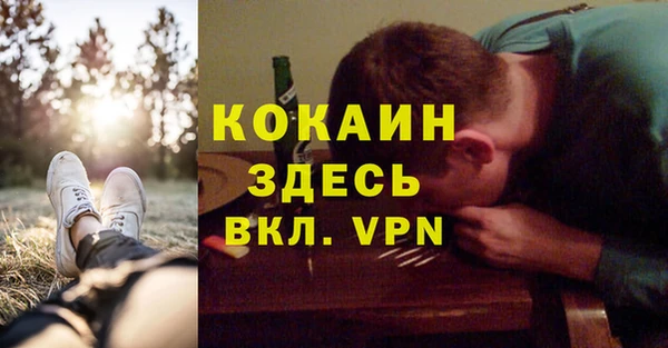 стаф Осинники