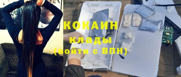 стаф Осинники