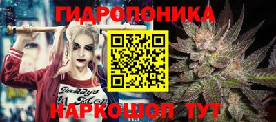 Альфа ПВП Анапа