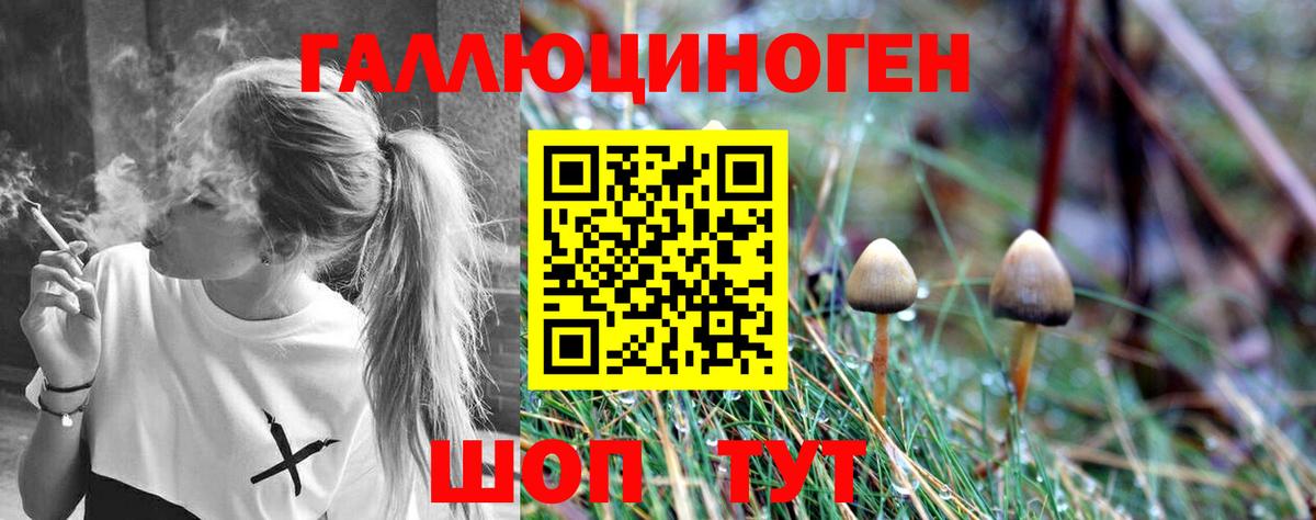 Галлюциногенные грибы Magic Shrooms Брянск